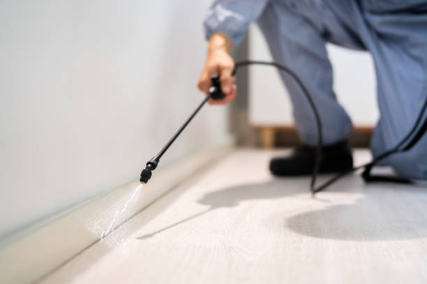 Licensed Mosquito Control service in Deerfield, IL - Nex Pest Control