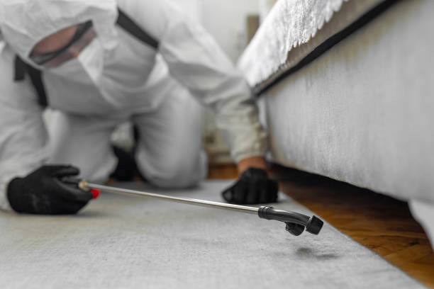 Professional Mosquito Control technician working in Deerfield, IL