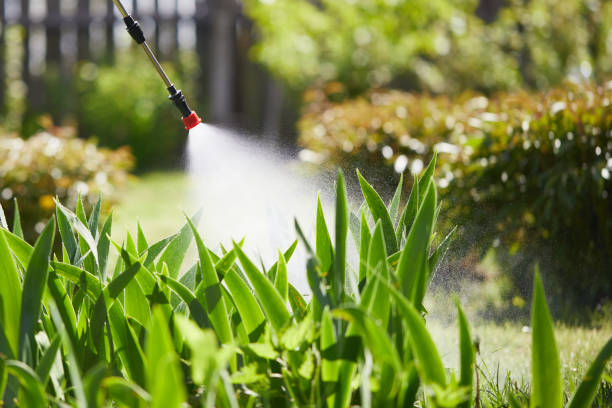 24/7 Emergency Mosquito Control experts in Deerfield, IL