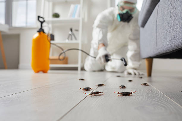 Trusted Bed Bug Control service in Deerfield, IL - Nex Pest Control