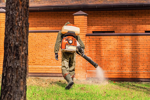 Trusted Ant Control service in Deerfield, IL - Nex Pest Control